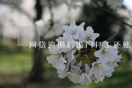 网贷逾期后出门打工还账 网贷逾期后出门打工还账