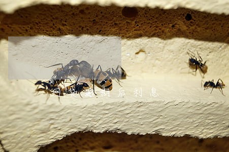 网贷逾期后利息 网贷逾期后利息