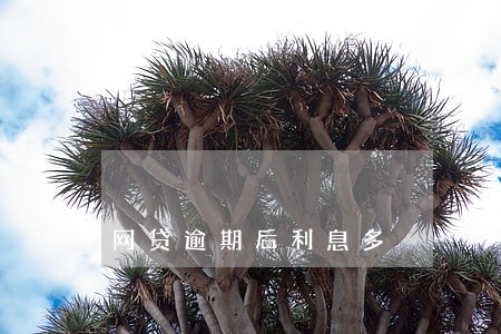 网贷逾期后利息多 网贷逾期后利息多