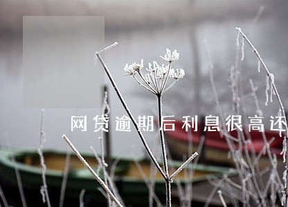 网贷逾期后利息很高还要还吗 网贷逾期后利息很高还要还吗