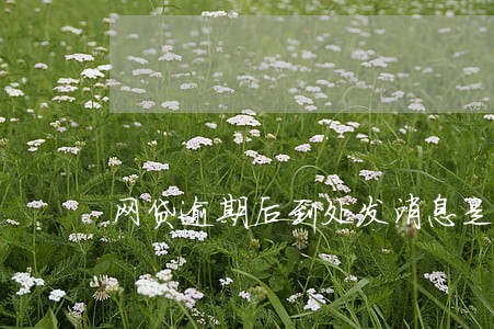 网贷逾期后到处发消息是违法的吗 网贷逾期后到处发消息是违法的吗
