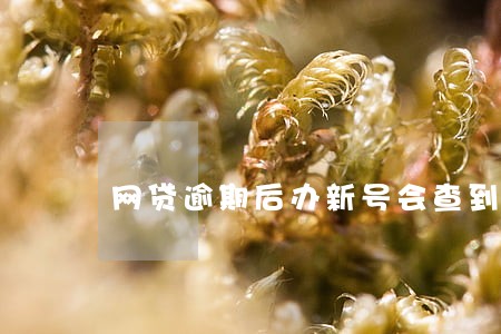 网贷逾期后办新号会查到吗