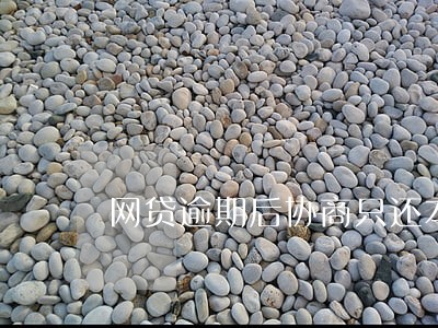 网贷逾期后协商只还本金 网贷逾期后协商只还本金