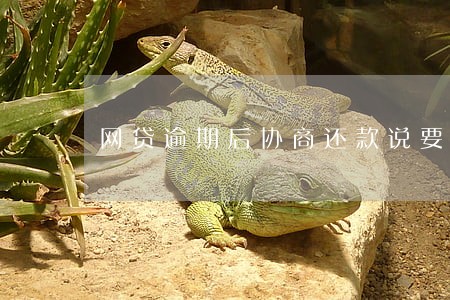 网贷逾期后协商还款说要调查 网贷逾期后协商还款说要调查