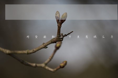 网贷逾期后卡里有钱立马扣吗 网贷逾期后卡里有钱立马扣吗