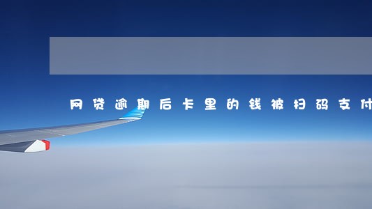 网贷逾期后卡里的钱被扫码支付了 网贷逾期后卡里的钱被扫码支付了