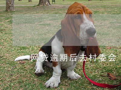 网贷逾期后去村委会