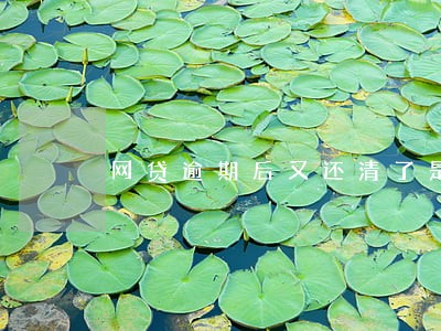 网贷逾期后又还清了是否有影响 网贷逾期后又还清了是否有影响