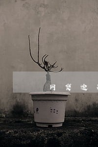 网贷逾期后发短信说协商沟通