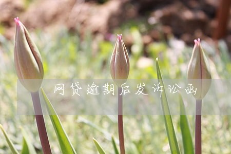 网贷逾期后发诉讼函 网贷逾期后发诉讼函