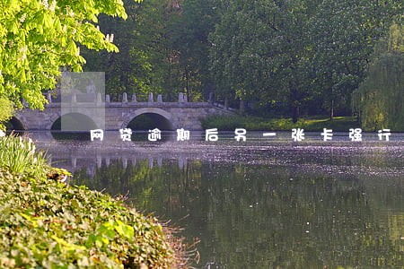 网贷逾期后另一张卡强行扣款 网贷逾期后另一张卡强行扣款