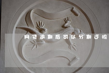 网贷逾期后可以分期还吗 网贷逾期后可以分期还吗