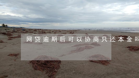 网贷逾期后可以协商只还本金吗 网贷逾期后可以协商只还本金吗