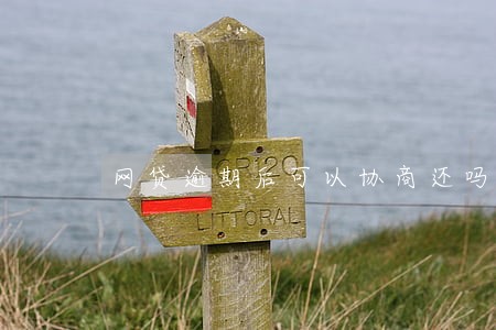网贷逾期后可以协商还吗 网贷逾期后可以协商还吗