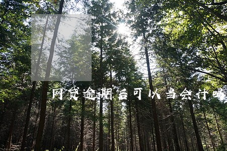 网贷逾期后可以当会计吗 网贷逾期后可以当会计吗