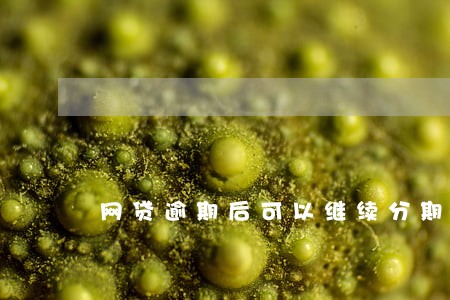 网贷逾期后可以继续分期吗 网贷逾期后可以继续分期吗