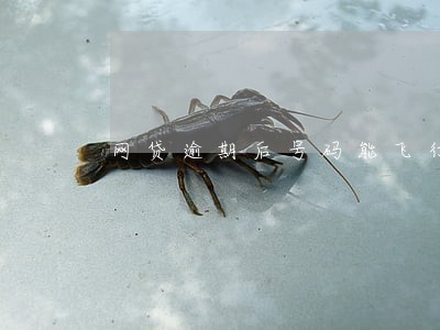 网贷逾期后号码能飞行模式吗 网贷逾期后号码能飞行模式吗