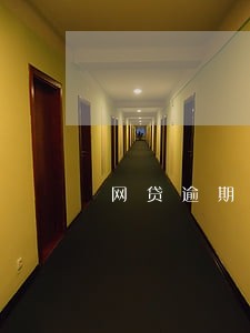 网贷逾期后司法会上门吗 网贷逾期后司法会上门吗