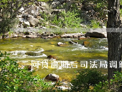 网贷逾期后司法局调解 网贷逾期后司法局调解