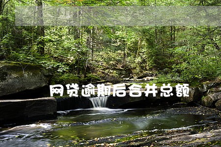 网贷逾期后合并总额 网贷逾期后合并总额