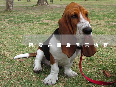 网贷逾期后同意协商 网贷逾期后同意协商