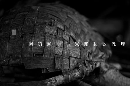 网贷逾期后呆账怎么处理 网贷逾期后呆账怎么处理