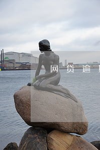 网贷逾期后哪家能下款 网贷逾期后哪家能下款