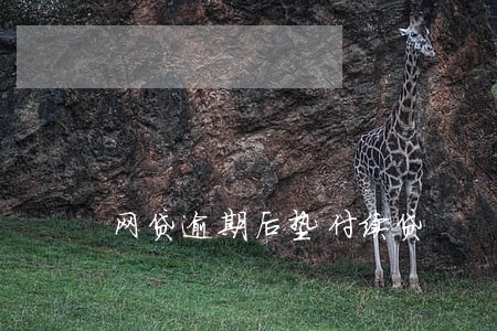 网贷逾期后垫付续贷 网贷逾期后垫付续贷