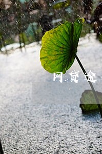 网贷逾期后声明 网贷逾期后声明