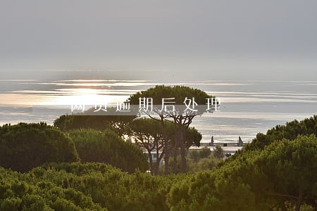 网贷逾期后处理 网贷逾期后处理