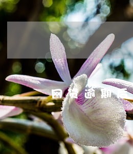 网贷逾期后处理可以只还本金吗 网贷逾期后处理可以只还本金吗