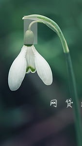 网贷逾期后多久后不能坐飞机 网贷逾期后多久后不能坐飞机