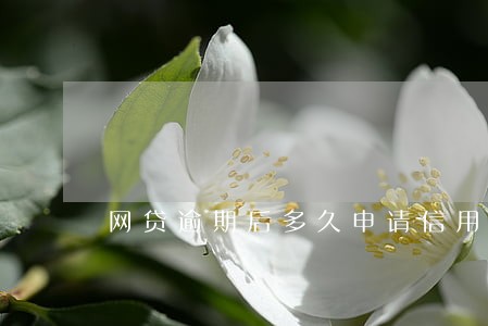 网贷逾期后多久申请信用卡 网贷逾期后多久申请信用卡