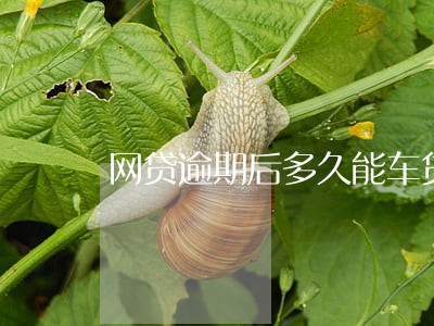 网贷逾期后多久能车贷
