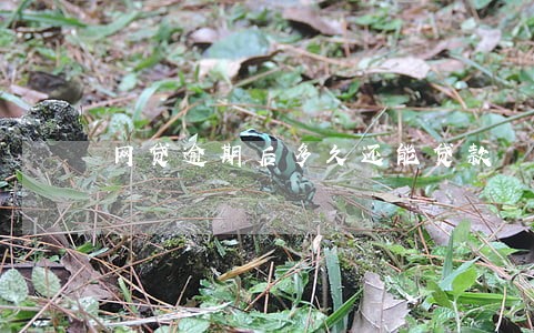 网贷逾期后多久还能贷款 网贷逾期后多久还能贷款