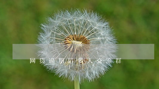 网贷逾期后多人交流群 网贷逾期后多人交流群