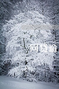 网贷逾期后多少能再借 网贷逾期后多少能再借