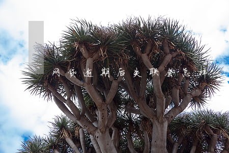 网贷逾期后失联会怎样 网贷逾期后失联会怎样