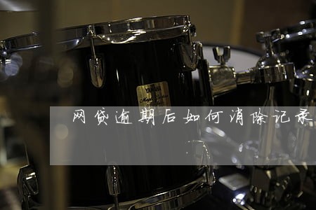 网贷逾期后如何消除记录 网贷逾期后如何消除记录