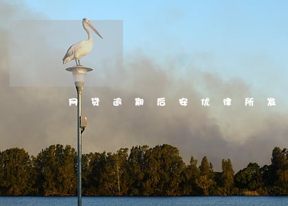网贷逾期后安优律所发来的短信 网贷逾期后安优律所发来的短信