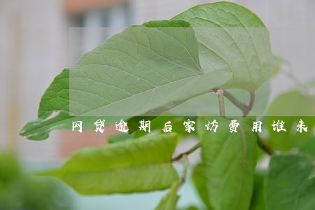网贷逾期后家访费用谁来出 网贷逾期后家访费用谁来出