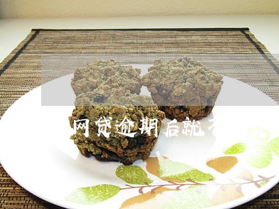 网贷逾期后就不能贷款了吗 网贷逾期后就不能贷款了吗