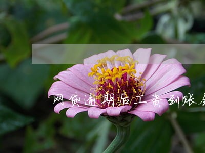 网贷逾期后工资到账会被划扣吗 网贷逾期后工资到账会被划扣吗
