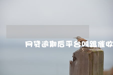 网贷逾期后平台叫跟催收协商 网贷逾期后平台叫跟催收协商
