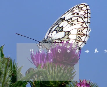 网贷逾期后平台暴力催收违法吗