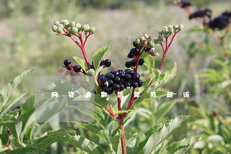 网贷逾期后年底起诉 网贷逾期后年底起诉