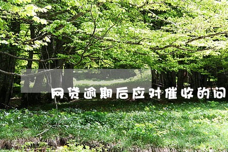 网贷逾期后应对催收的问题 网贷逾期后应对催收的问题