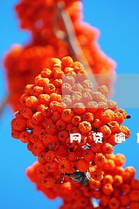 网贷逾期后应怎样还款 网贷逾期后应怎样还款