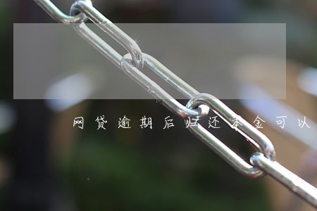 网贷逾期后归还本金可以吗 网贷逾期后归还本金可以吗