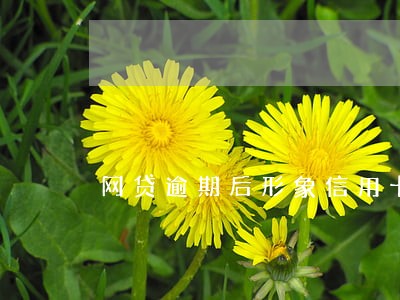 网贷逾期后形象信用卡不 网贷逾期后形象信用卡不